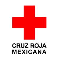 Logocrmguanajuato